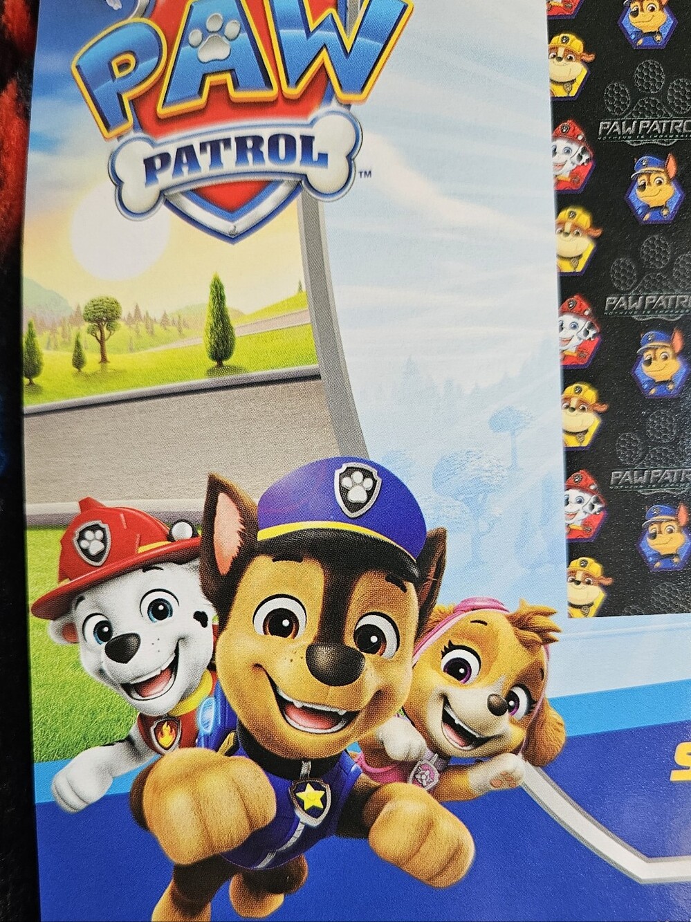 Paw Patrol Kids Black Plush Throw Blanket - Official Character Design